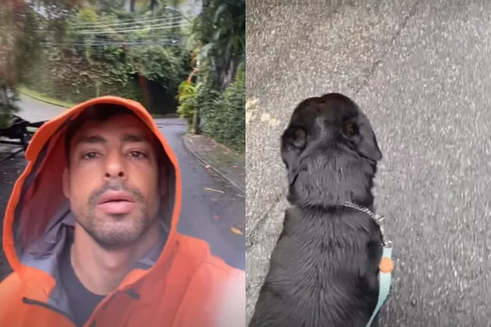 Cauã Reymond revela que seus cães foram vítimas de envenenamento