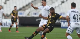 Novorizontino x Santos onde assistir ao vivo horario e escalacoes