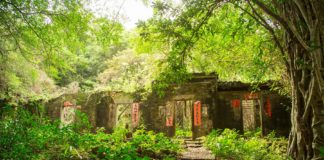 Vilarejos abandonados de Hong Kong foram dominados pela natureza