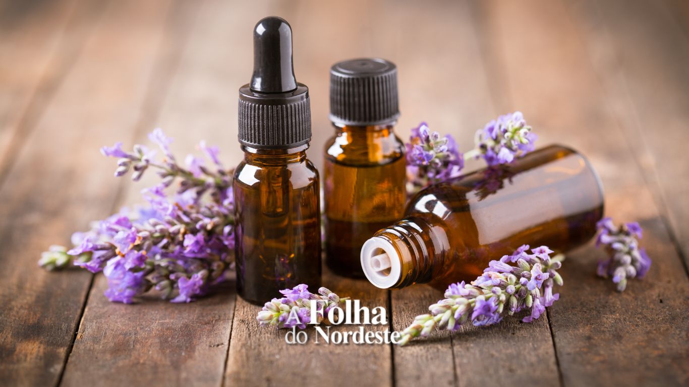 Aromaterapia: o poder dos óleos essenciais