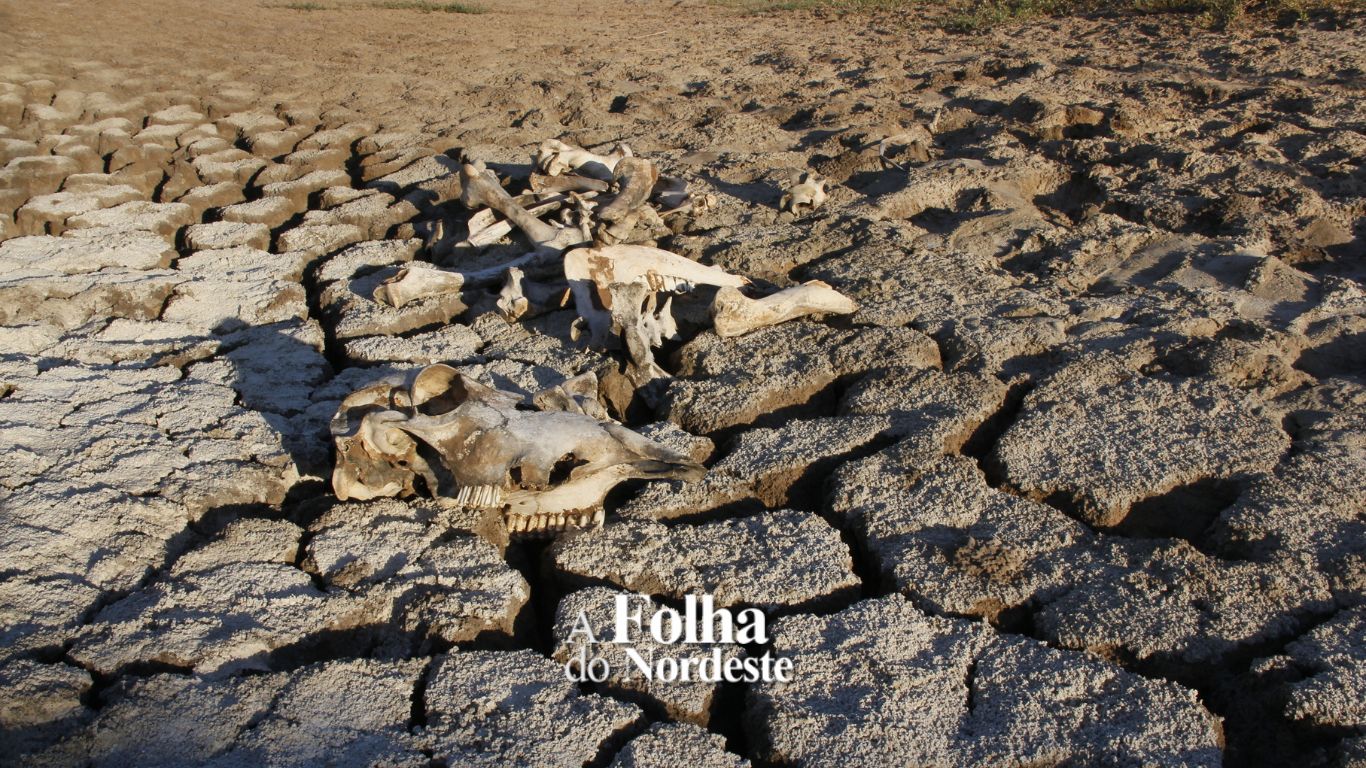 Brasil: seca afeta mais de 200 cidades