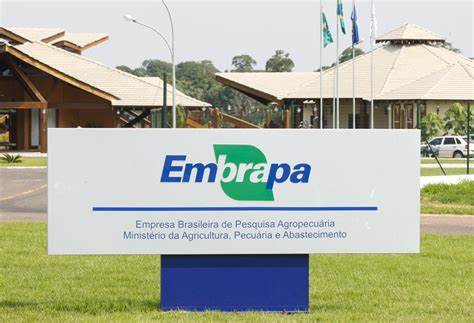 Concurso Embrapa: banca definida