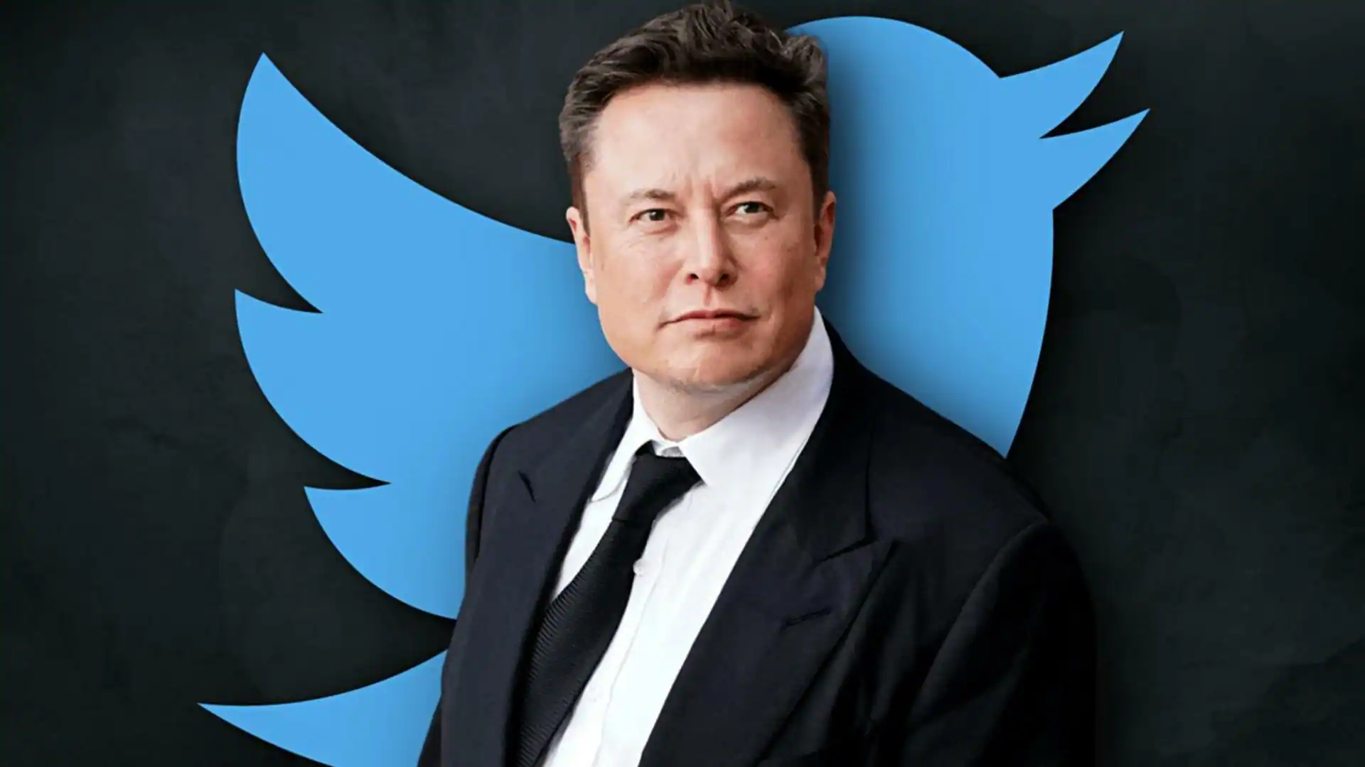 Elon Musk: quanto custaria a rede Globo?